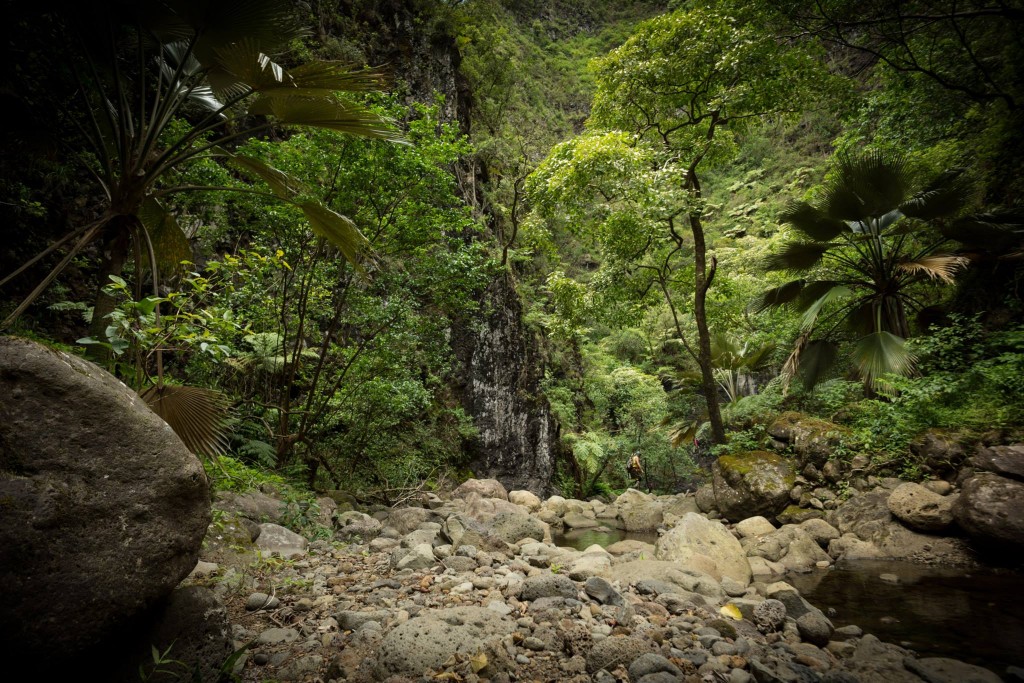 Kaipapa'u Gulch Hawaiian Trail & Mountain Corp.