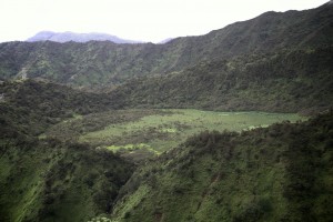 A view of Ka'au Crater from Lanipo Trail