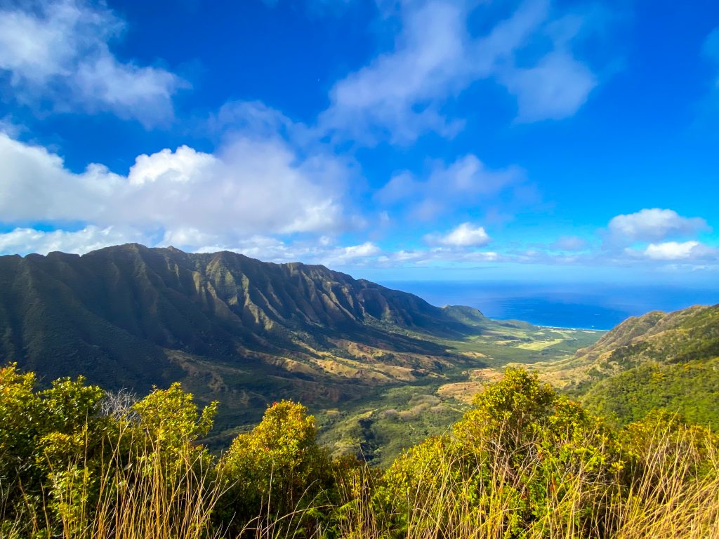 Mokule'ia Hawaiian Trail & Mountain Corp.