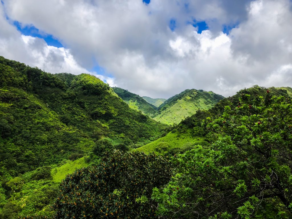 Waimano Tunnels Hawaiian Trail & Mountain Corp.