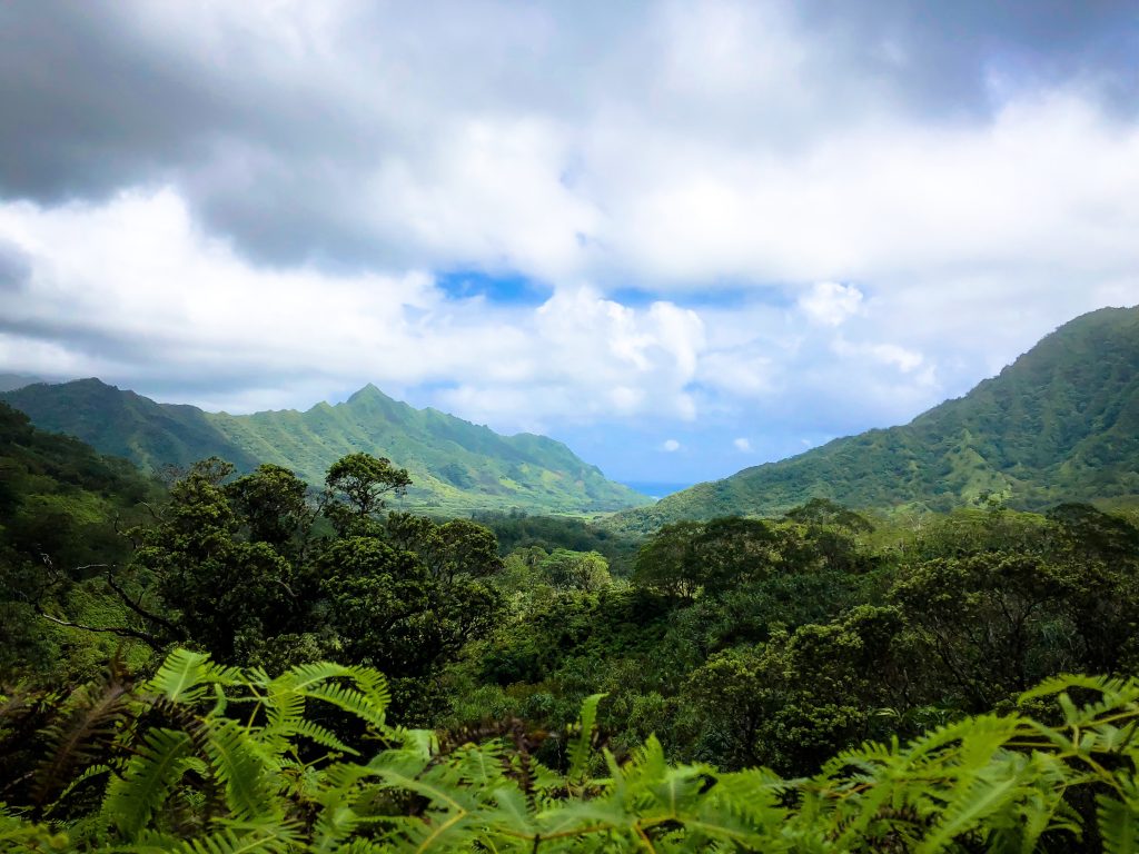 Kahana Saddle Hawaiian Trail & Mountain Corp.