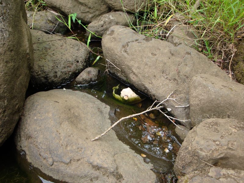 John Parsons Waimalu Ditch Missing Hiker Story 2008 Hawaiian Trail