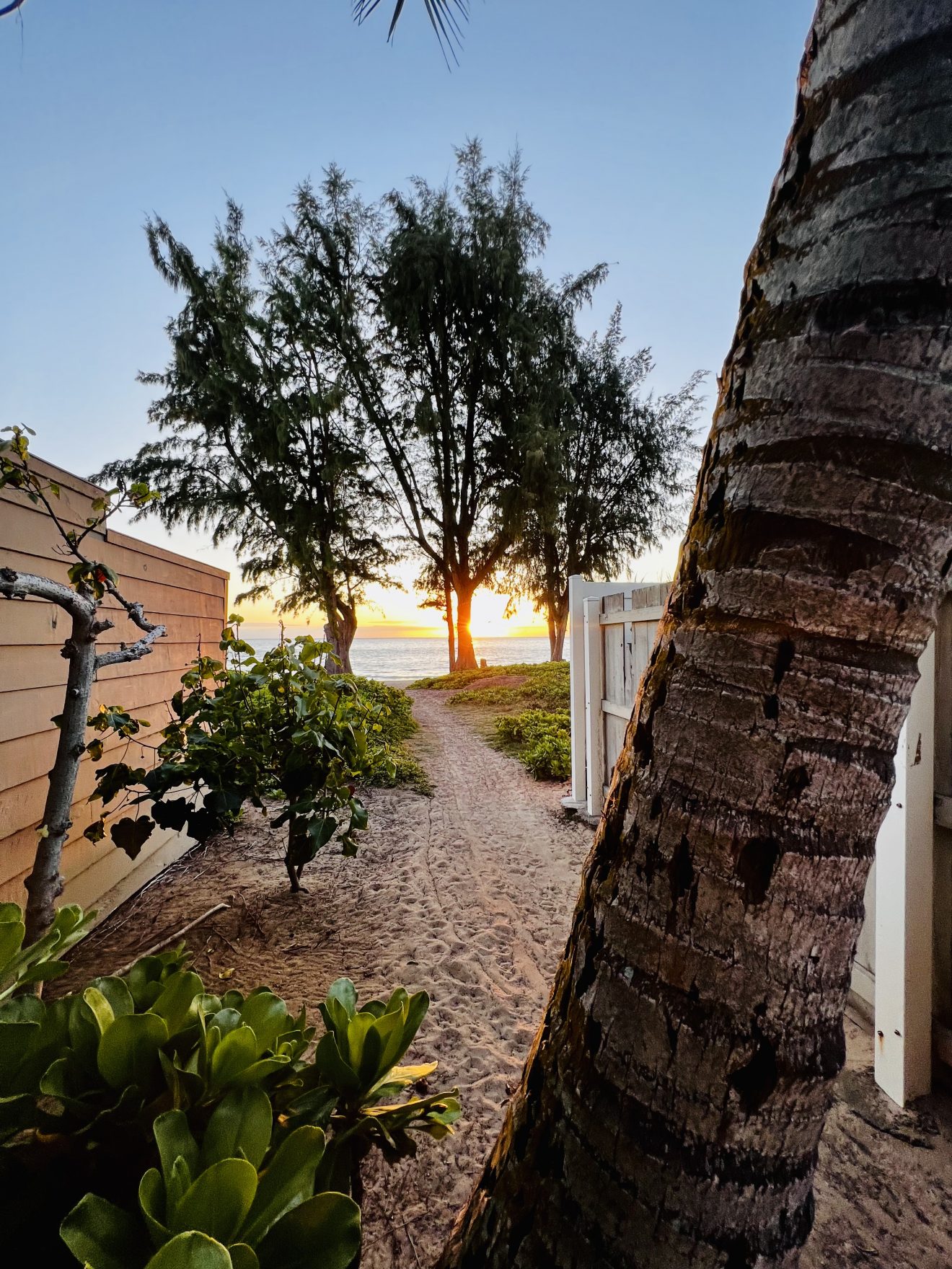 The Clubhouse Chronicles What Does It Mean to Be Home? Hawaiian Trail & Mountain Corp.