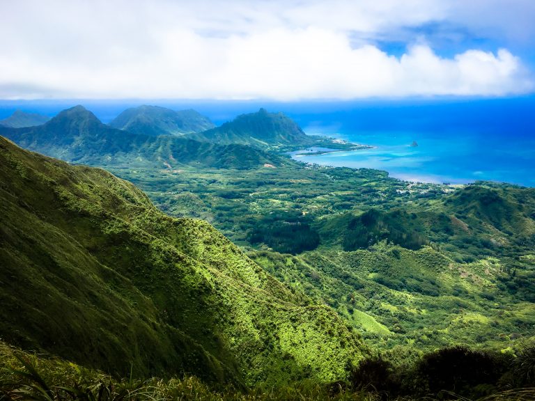 Uluhe Manana - Hawaiian Trail & Mountain Club