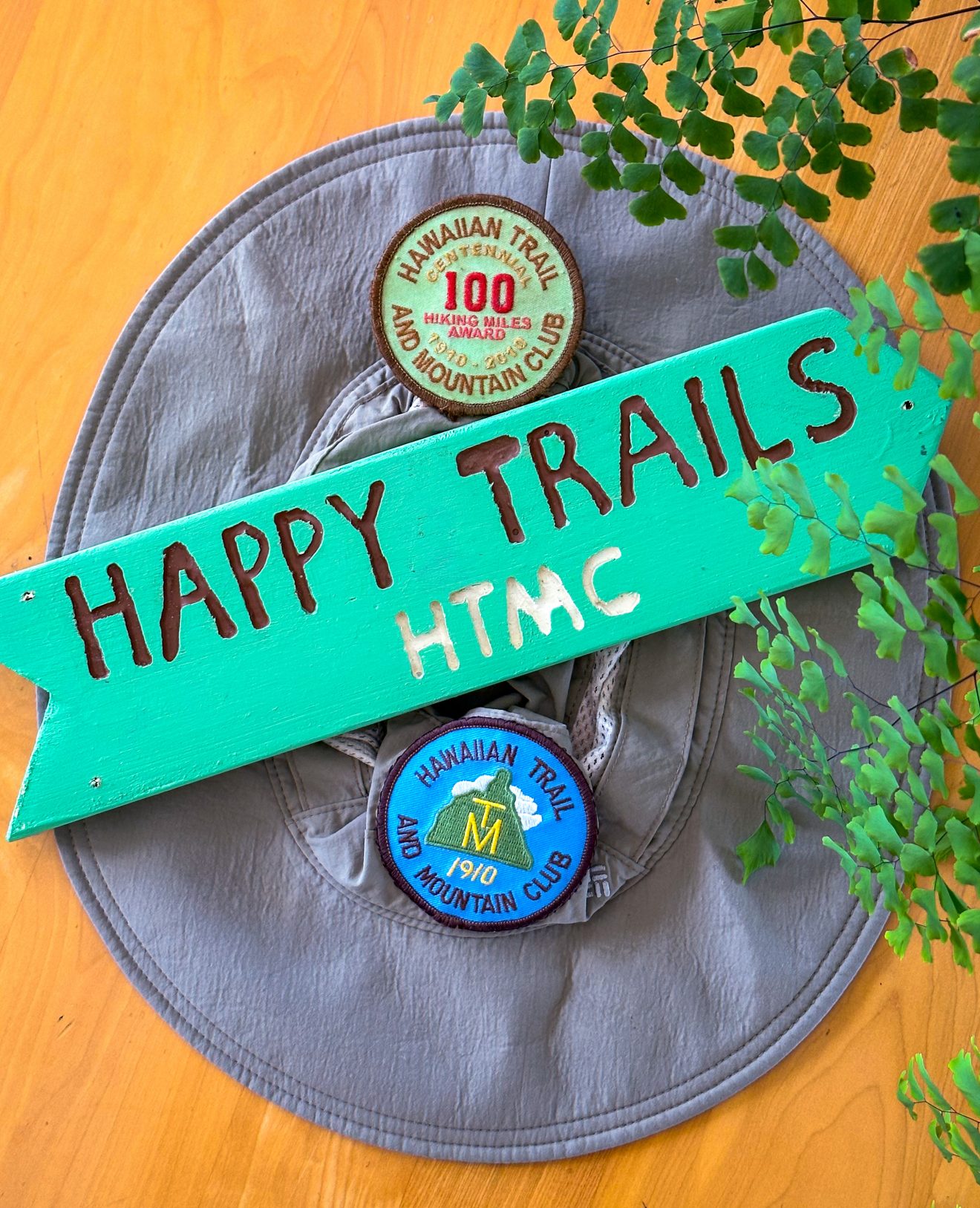 HTMCpatches