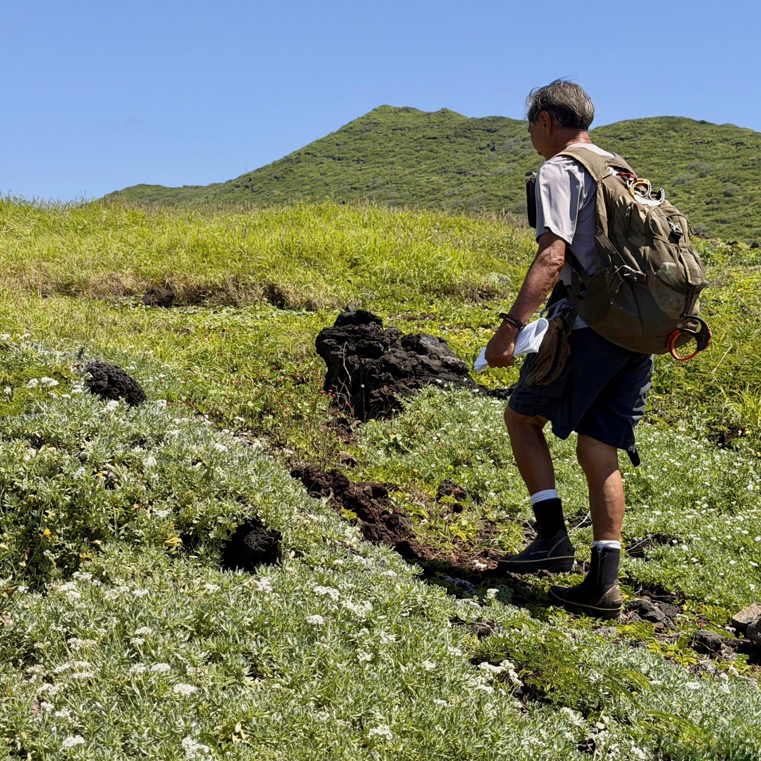 ボ－ズレスB E N K E I アカハライワシ190㎜ 140g Kaiwi Coast Plant Walk with Kenji - Hawaiian Trail & Mountain Club